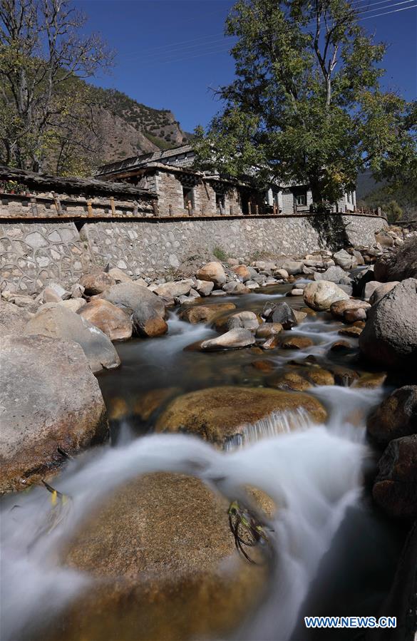 免费精品国自产网站