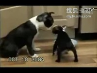 fxx 字母圈 调教室 调教空间采用隔音设计