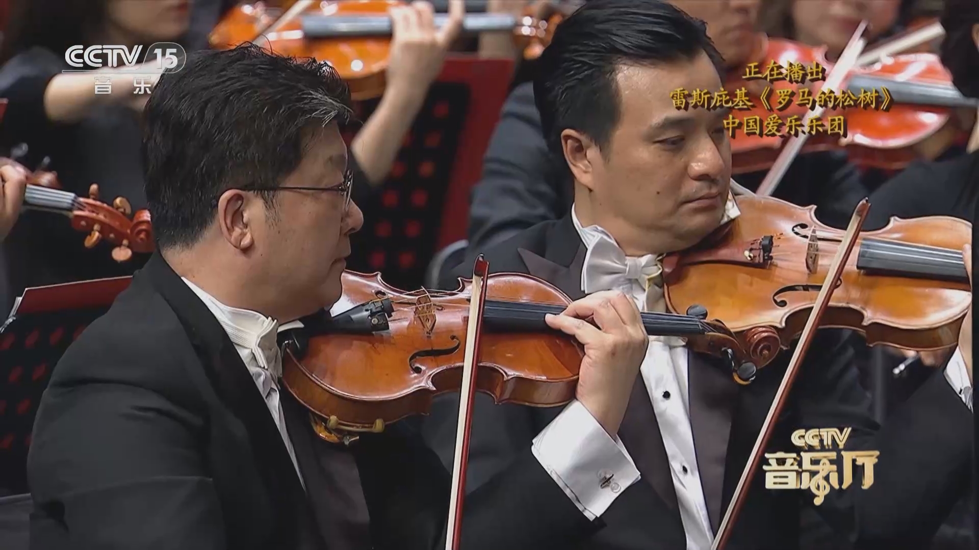 久久精品国产2020超碰