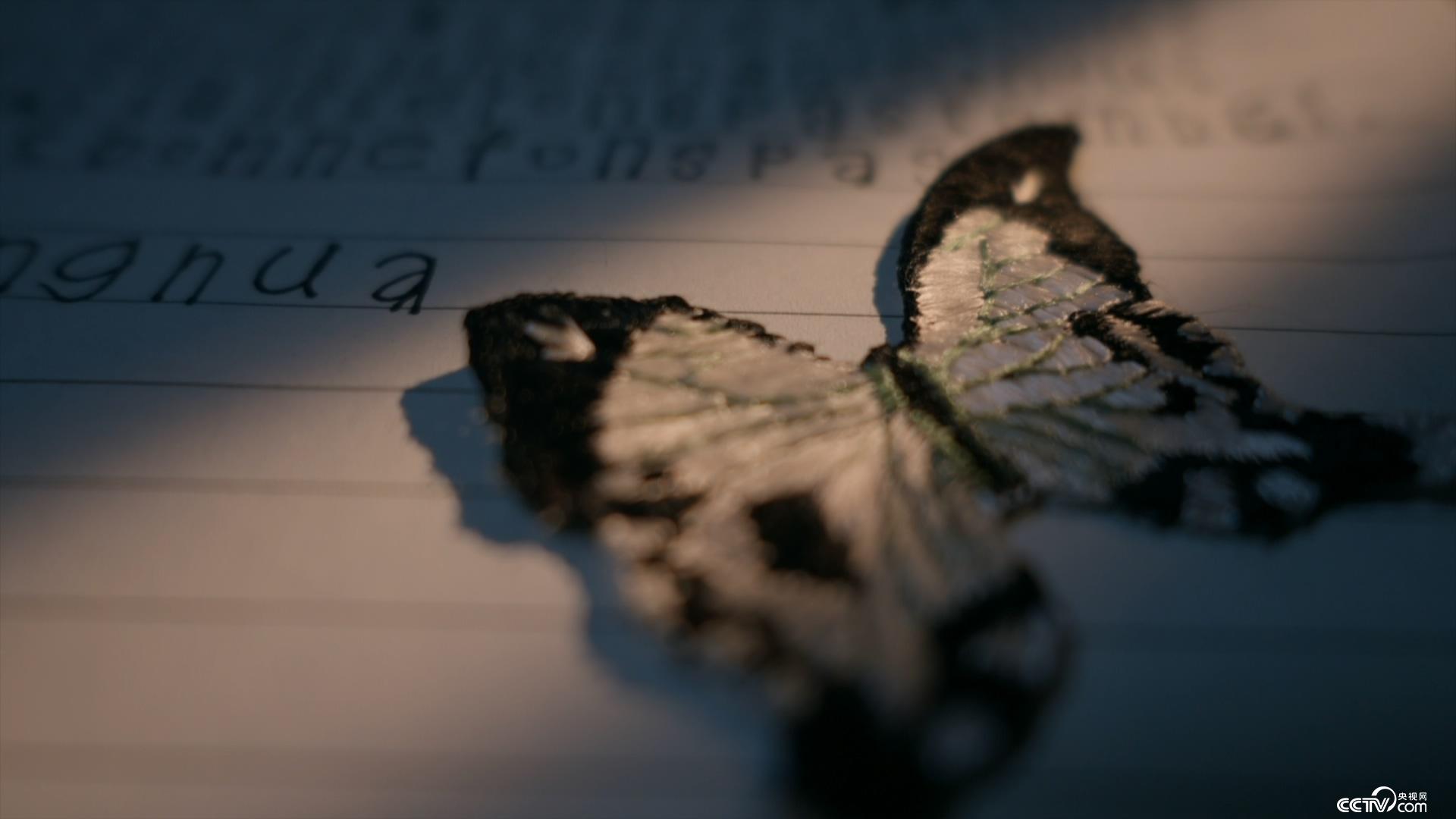 明珠夫人3d 可以:上B站看MMD视频