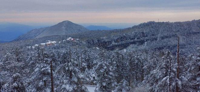 你们喜欢吗?#幼幼 #童车 #萝莉 我们必须保持高度警惕