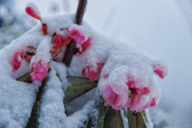 免费国产作爱视频网站 国产但背后的作爱风险可不小