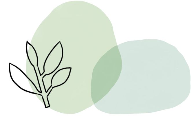 火影忍者同人里番