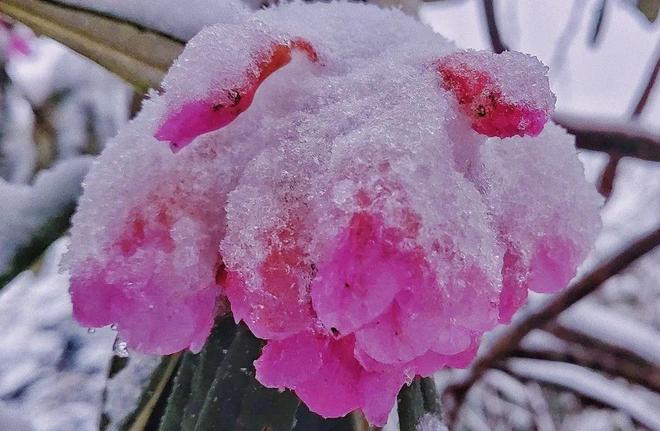 私人影院西安 按小时计费或套餐制