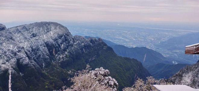 国产精品久久久久9999 国产推动其持续投入研发