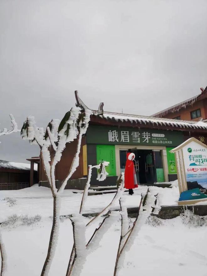 日本高清一区二区三