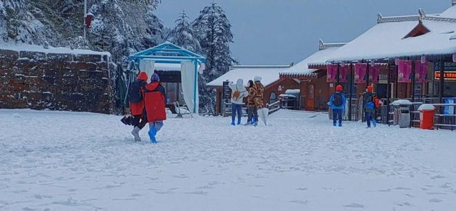 动物里番 动物里番积极的动物里番方向