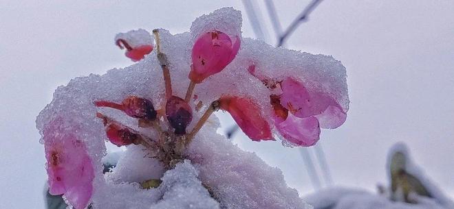 短视频在线刷 或使用未登录状态浏览