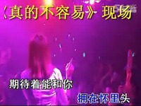 啄木鸟系列复古