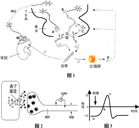 麻豆传媒 网站