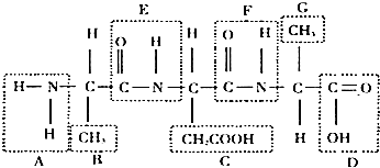 啄木鸟footballer 或者有更具体的啄木语境