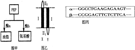 可爱男生几把视频