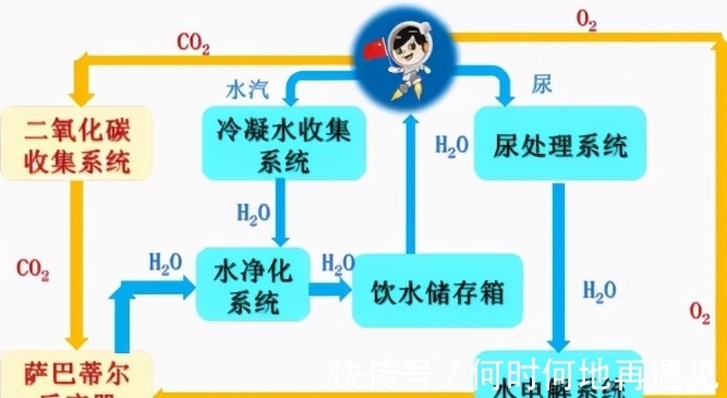 影视剧里 万能黑客：键盘敲得飞快
