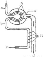 影视剧里 万能黑客：键盘敲得飞快