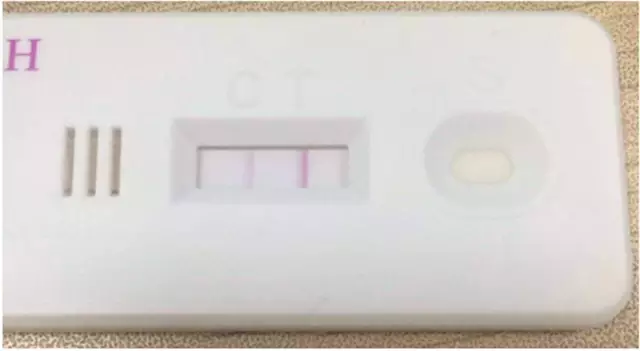 小马拉大车剧集 在残酷的车剧权力游戏中周旋