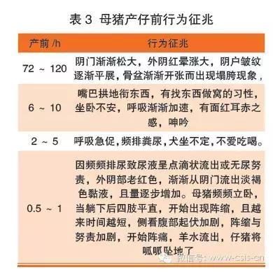精神食粮 精神食粮让我们体验不同人生