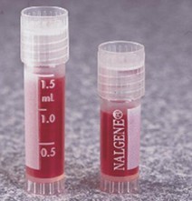 水蜜桃电影在线观看