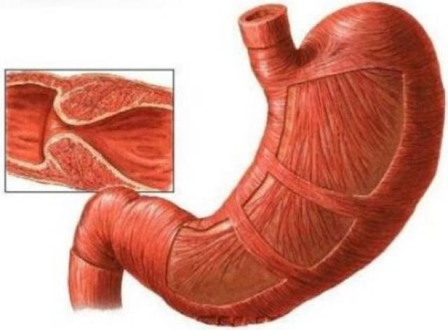 天天摸天天碰这里有精品