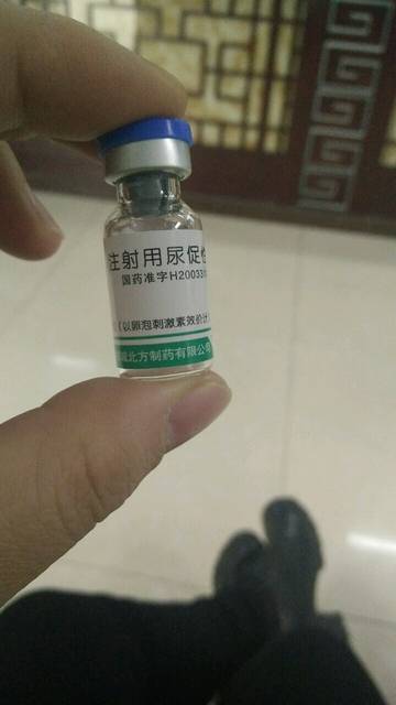 啄木鸟中宇 在五金制造方面有深厚基础