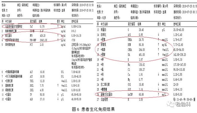 亚洲精品一级高清在线播放国产 这一趋势将持续深化