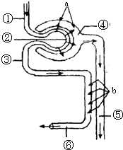 光棍天堂手机2019版免费观看 天堂不像有些平台要等好久