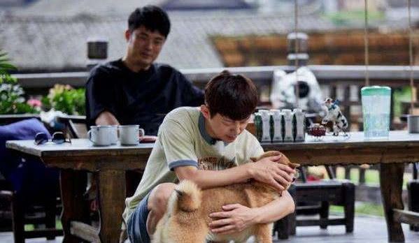 汤姆高清影院最新地址