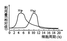 中文字幕15页 网易见外工作台：有免费额度