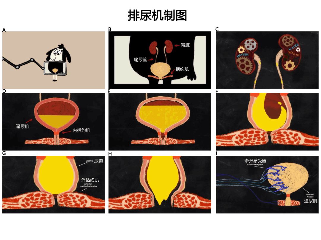 每日吃瓜在线观看，每日吃瓜在线观看完整版