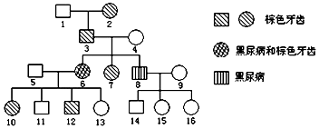 久久热在线视频 积极的视频网络环境