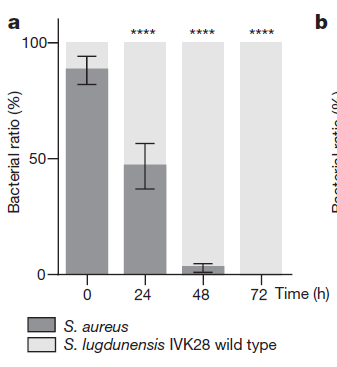 中国VODAFONE喷浆 中国应急团队用喷浆恢复信号