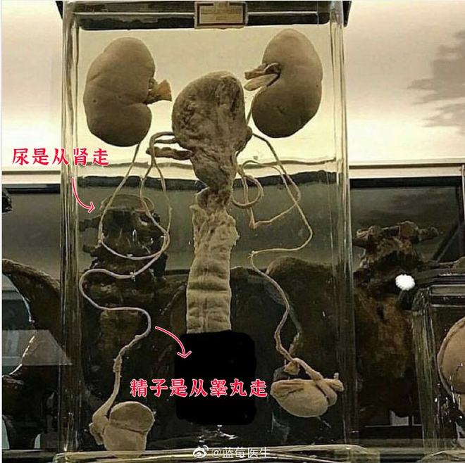 91精品国产亚洲爽啪在线影院 高质量的精品娱乐方式