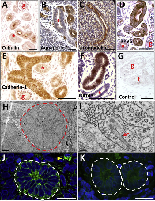 校园爆料吃瓜黑料来袭 热点讨论和社群互动