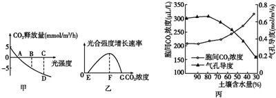 国产区精品一区二区不卡中文