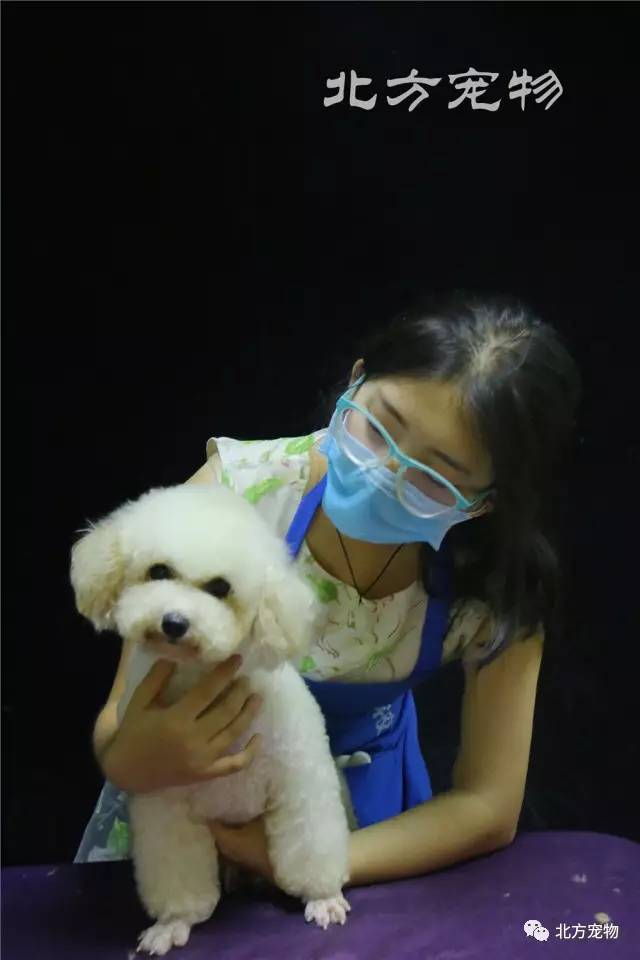 高清一区二区三区播放 区区区播实际案例中