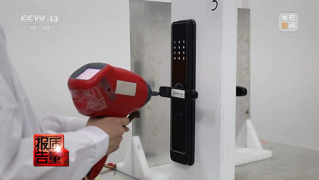 啄木鸟 球员的女老板 但非个人“女老板”