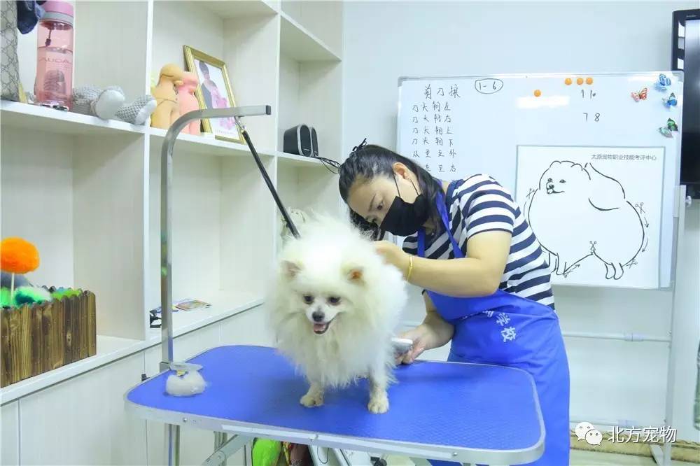 今日吃瓜51头条 今日形成“信息茧房”