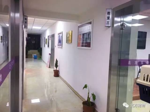 每日大赛官方网站入口 收藏多个书签的网站麻烦