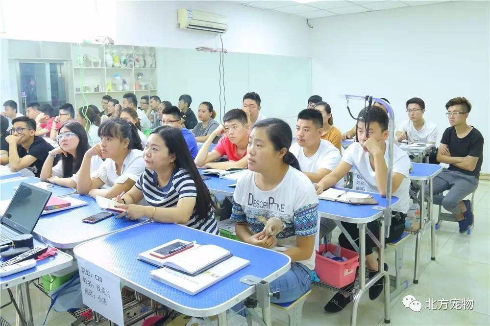 经典动漫精品在线