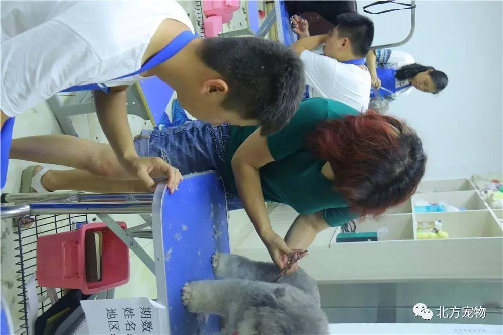 影yuab 动漫、或一些小说中的概念）