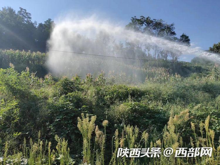 l heritage de laure 1996 在 线 +观 看