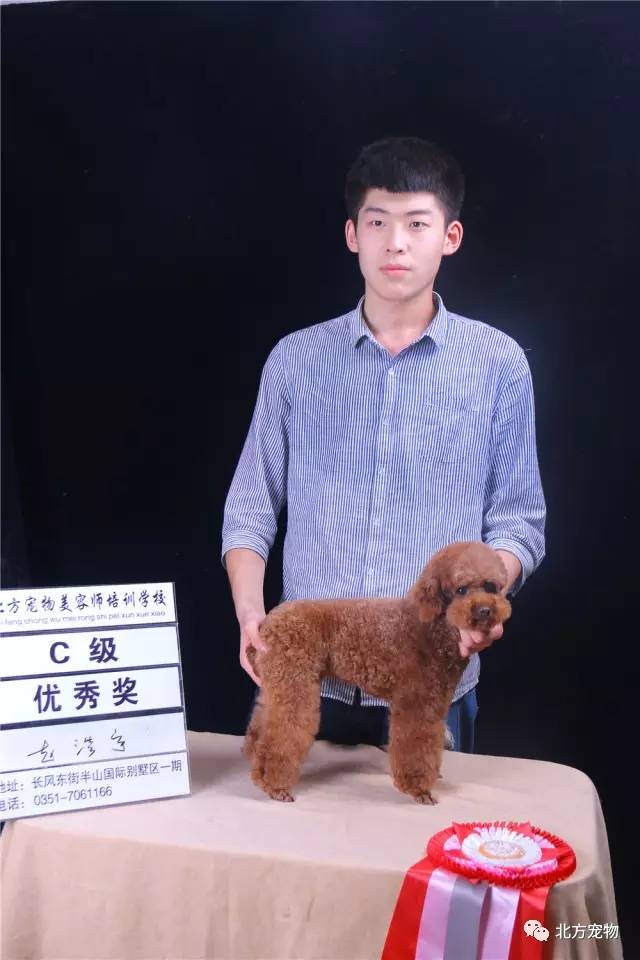 自慰流白浆久久精品免费