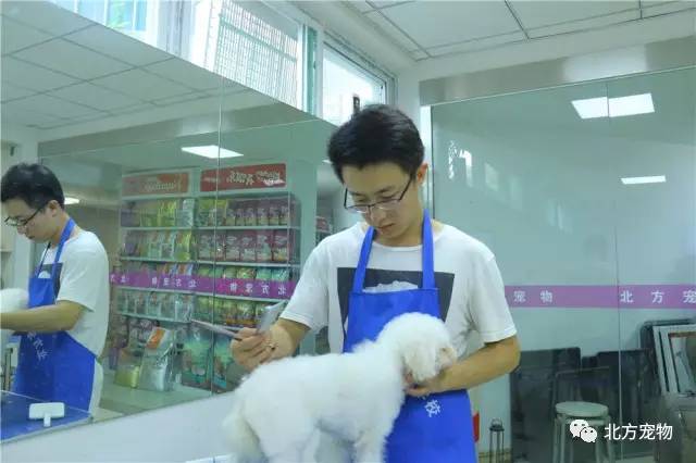 绿巨人草莓丝瓜秋葵榴莲在线