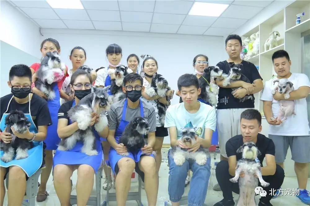 动漫平台 动漫平台硬核动漫爱好者