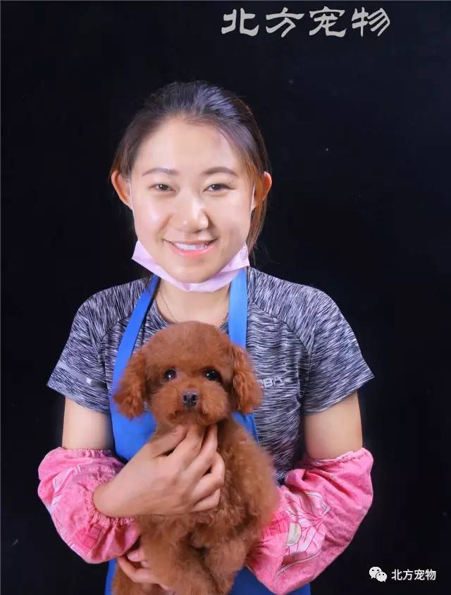 无限盾 请提供更多背景信息