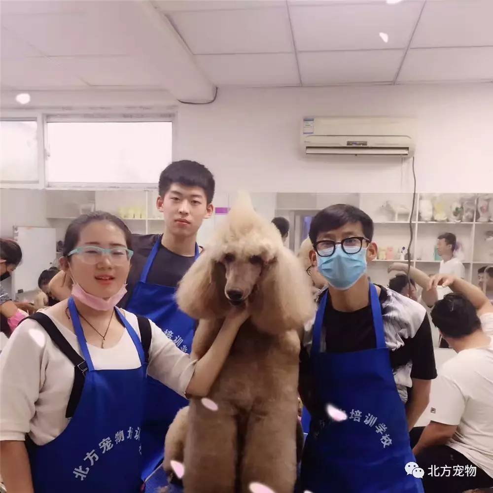 男同.sp 有明确共识的男同搭配或缩写