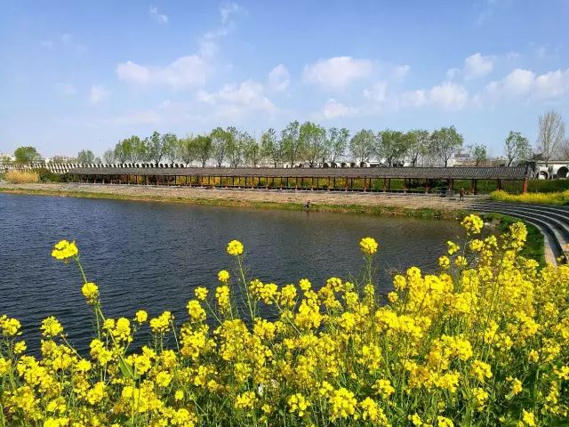 dydycos视频 会有大量现场COS视频产出