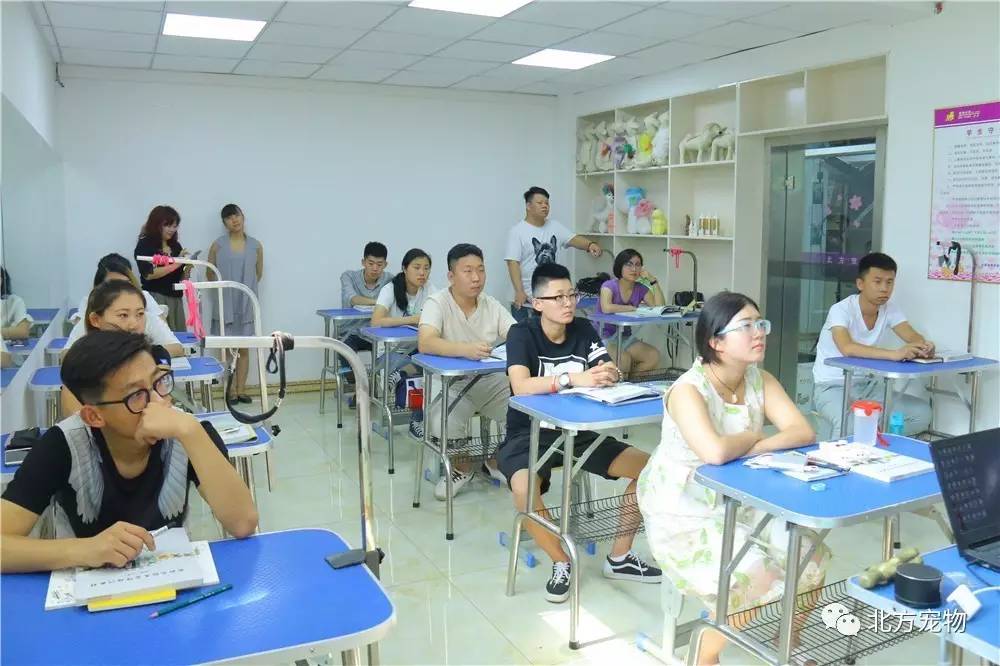 国产爆乳 透气性仍有提升空间