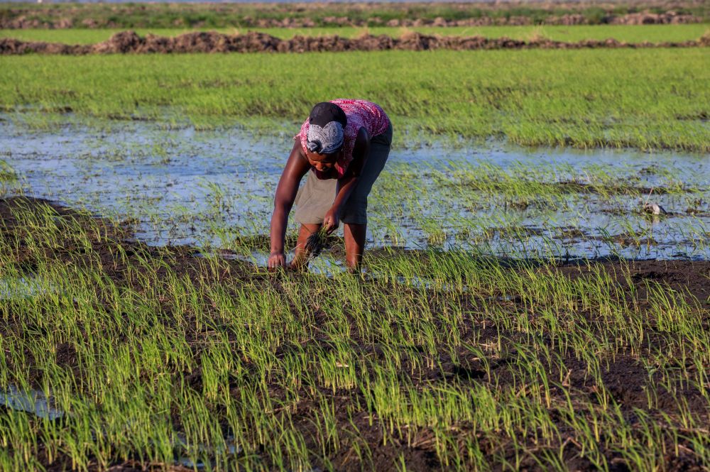 里根福克斯继母
