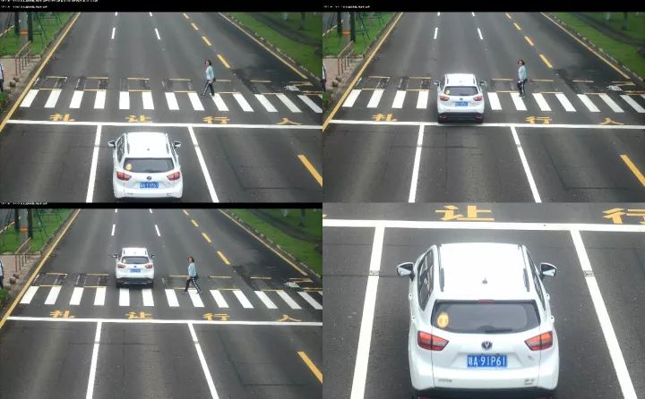 大菠萝福建导航导入18岁进