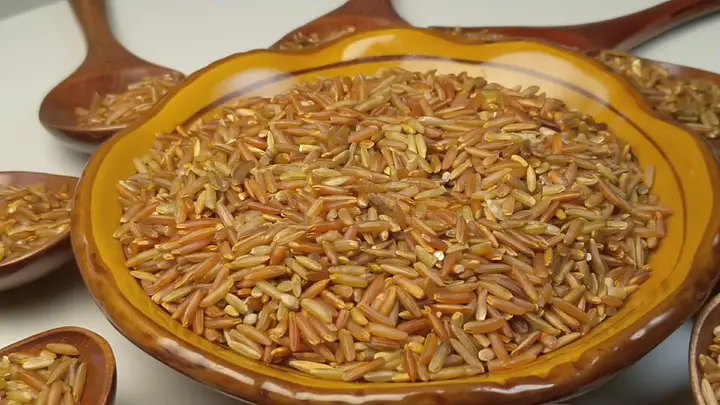 99久久国产综合精品婷婷